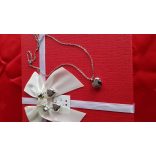 Комлект Лъки сребристо код 11