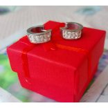 Стоманени обеци Изи