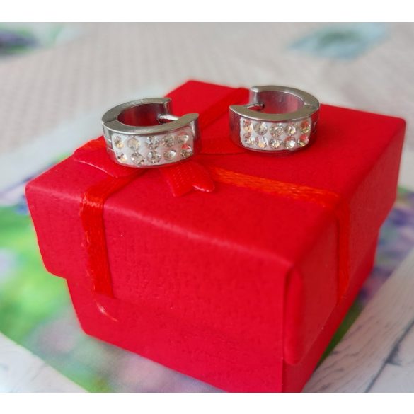 Стоманени обеци Изи